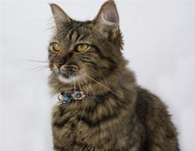 img 1 attached to 🐱 Funky Feline Fashion: Country Brook Petz - Groovy Collection Cat Collar