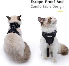 img 3 attached to 🐱 LuxRoom Cat Leash and Harness Set: Adjustable, Breathable, and Reflective for Safe and Comfortable Walking Experience