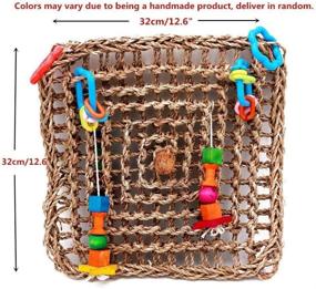 img 1 attached to 🐦 Borangs Bird Foraging Toys: A Must-Have Seagrass Activity Wall for Cockatiels, African Greys, and Conure Birds - 13inch Cage Accessories