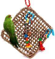 🐦 borangs bird foraging toys: a must-have seagrass activity wall for cockatiels, african greys, and conure birds - 13inch cage accessories logo