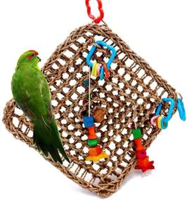 img 4 attached to 🐦 Borangs Bird Foraging Toys: A Must-Have Seagrass Activity Wall for Cockatiels, African Greys, and Conure Birds - 13inch Cage Accessories