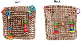 img 3 attached to 🐦 Borangs Bird Foraging Toys: A Must-Have Seagrass Activity Wall for Cockatiels, African Greys, and Conure Birds - 13inch Cage Accessories