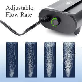 img 2 attached to AQQA Aquarium Air Pump: 5W Dual Outlet Oxygen Pump with 2 Air Stones - Adjustable Air Valve for Quiet Bubbler Pump - Suitable for Up to 160 Gallon Fish Tanks