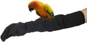 img 4 attached to 🧤 Bac-kitchen Bird Training Anti-Bite Gloves: Level 5 Protection for Small Animal Safety and Parrot Chewing Working - Perfect for Pet Squirrels, Hamsters, Parrotlets, Cockatiels, Finches, and Macaws