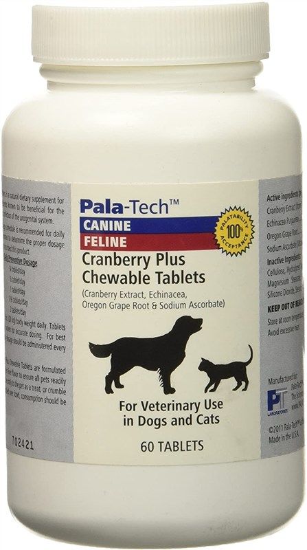 palatech cranberry chewable pala tech 로고