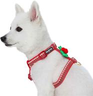 blueberry pet christmas dog harnesses - 2 pattern options for optimal seo logo