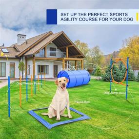 img 2 attached to YON.SOU Dog Agility Training Equipment Set - Pet Outdoor Games for Backyard - Includes Adjustable Hurdles, Agility Tunnel, 8-Piece Weave Poles, Frisbee, Whistle, Carrying Bag - Obstacle Course Kit