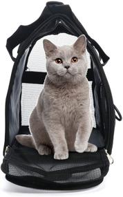 img 3 attached to 🐾 MuchL Cat Carrier Soft-Sided Pet Travel Carrier: Airline Approved Dog & Cat Carrier for Small/Medium Pets