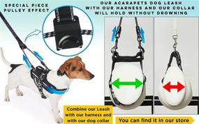 img 3 attached to 🐾 Optimal Control Double Dog Leash with Dual Attachment Points - Ideal for Walking Two Dogs Comfortably. Can Also Be Used without a Dog Collar, Featuring Two Hook Points to Ensure a Safe, Comfortable Walk. Suitable for Use with Our Dog Harness Incorporating Side D Rings for Added Chest Support. Length: 4 Feet.