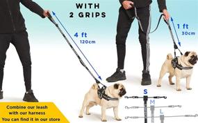 img 2 attached to 🐾 Optimal Control Double Dog Leash with Dual Attachment Points - Ideal for Walking Two Dogs Comfortably. Can Also Be Used without a Dog Collar, Featuring Two Hook Points to Ensure a Safe, Comfortable Walk. Suitable for Use with Our Dog Harness Incorporating Side D Rings for Added Chest Support. Length: 4 Feet.