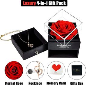 img 2 attached to Christmas 3.3'' Large Preserved Rose Gift Set with Necklace Memory Card - Perfect Birthday Decorations for Women: Mom, Her, Girlfriend - Eternal Real Flower for Anniversary, Thanksgiving, Valentine's Day - Red