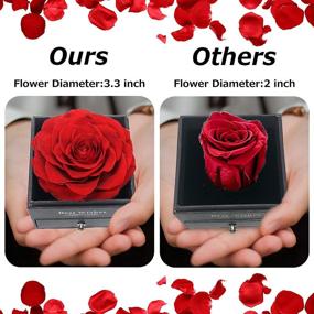 img 1 attached to Christmas 3.3'' Large Preserved Rose Gift Set with Necklace Memory Card - Perfect Birthday Decorations for Women: Mom, Her, Girlfriend - Eternal Real Flower for Anniversary, Thanksgiving, Valentine's Day - Red