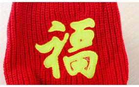 img 3 attached to Delifur Sweater Chinese Character Clothes