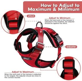 img 3 attached to 🐾 Ulrico1 Escape Proof Cat Harness and Leash for Walking - Adjustable Soft Mesh Vest Harness for Medium Large Cats with Reflective Strap, Metal Clip, Comfort Fit - Ideal for Pet Kitten, Puppy, Rabbit