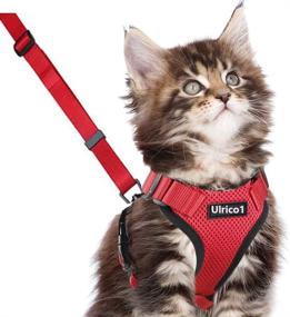 img 4 attached to 🐾 Ulrico1 Escape Proof Cat Harness and Leash for Walking - Adjustable Soft Mesh Vest Harness for Medium Large Cats with Reflective Strap, Metal Clip, Comfort Fit - Ideal for Pet Kitten, Puppy, Rabbit