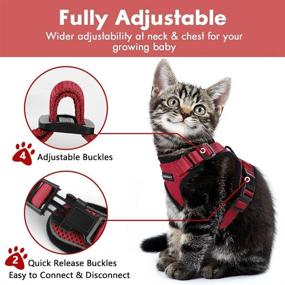 img 2 attached to 🐾 Ulrico1 Escape Proof Cat Harness and Leash for Walking - Adjustable Soft Mesh Vest Harness for Medium Large Cats with Reflective Strap, Metal Clip, Comfort Fit - Ideal for Pet Kitten, Puppy, Rabbit