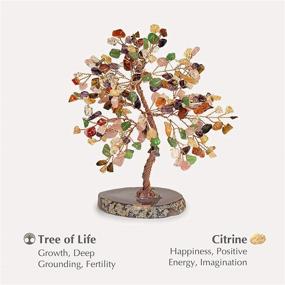 img 1 attached to Revitalize Your Space with Karma and Luck Invigorate - Original Feng Shui Multi-Stone Tree