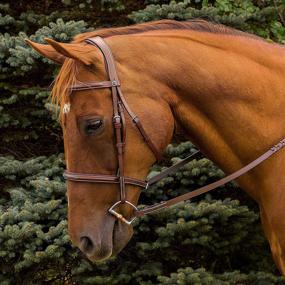 img 1 attached to Henri de Rivel Pro Mono Crown Bridle with Fancy Stitching and Padded Design