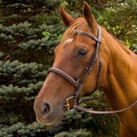 henri de rivel pro mono crown bridle with fancy stitching and padded design logo