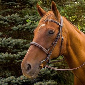 img 2 attached to Henri de Rivel Pro Mono Crown Bridle with Fancy Stitching and Padded Design