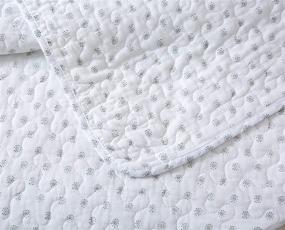 img 1 attached to Soul & Lane 100% Cotton Polka Dot Quilt Set - Queen Size with 2 Shams, Modern Solid Bedspread