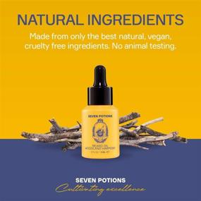 img 1 attached to 🌲 Seven Potions Woodland Harmony Beard Oil - 1 fl oz. Sweet and Woody Scent for Softer, Itch-Free Beards. Natural, Organic, Vegan Beard Conditioner with Jojoba Oil.