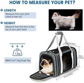 img 1 attached to 🐱 CATISM Airline Approved Cat Carrier, Collapsible and Lightweight Pet Carrier - Includes 3 Openable Mesh Windows and Escape-Proof Buckle for Safe and Comfortable Pet Travel - Suitable for Dogs up to 15 Lbs