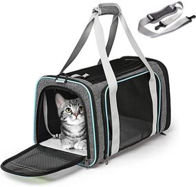 img 4 attached to 🐱 CATISM Airline Approved Cat Carrier, Collapsible and Lightweight Pet Carrier - Includes 3 Openable Mesh Windows and Escape-Proof Buckle for Safe and Comfortable Pet Travel - Suitable for Dogs up to 15 Lbs