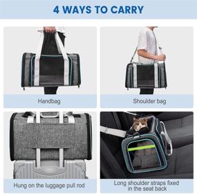 img 2 attached to 🐱 CATISM Airline Approved Cat Carrier, Collapsible and Lightweight Pet Carrier - Includes 3 Openable Mesh Windows and Escape-Proof Buckle for Safe and Comfortable Pet Travel - Suitable for Dogs up to 15 Lbs