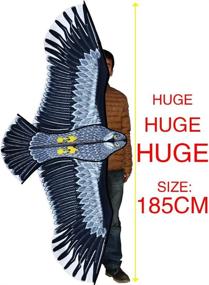 img 1 attached to 🦅 HENGDA KITE- Powerful Eagle! Large-sized Eagle Kites Ideal for Kids and Adults. 74-Inch