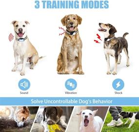 img 1 attached to Rechargeable Dog Training Collar - 3 Modes: Beep, Vibration, and Shock, Waterproof Pet Behaviour Training for Extra Small, Medium, Large Dogs