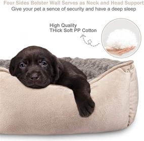 img 1 attached to JOEJOY Rectangle Dog Bed: Machine Washable, Non-Slip, Breathable, Durable Orthopedic Calming Pet Cuddler in Multiple Sizes (Beige)