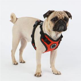 img 1 attached to Puppia PLRA-HF9323 Trek Safety Harness F in Black - Pet Vest Harnesses