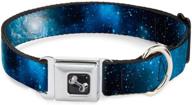 buckle-down galaxy blues/blues seatbelt buckle dog collar: ensuring safe & stylish walks! logo