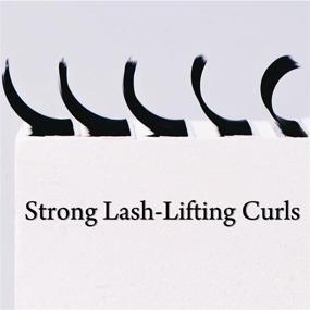 img 1 attached to 👁️ Ellipse Eyelash Extensions: Lightweight D Curl 12mm Flat Eyelash Extensions - Matte Individual Eyelashes for Salon Use