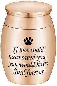img 4 attached to 🐾 XIUDA Stainless Steel Small Cremation Urns: Mini Dog Paw Keepsake Urn for Pet Ashes- Durable Ashes Holder for Dog/Cat Ashes