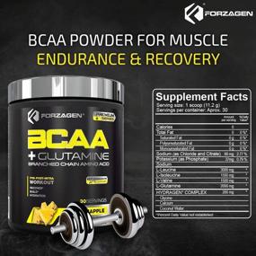 img 3 attached to PINEAPPLE Forzagen Bcaa Powder + Glutamine - Keto Friendly Bcaa Amino Acids with Electrolytes, Essential Supplements for Post Workout Recovery Drink.