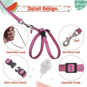 img 1 attached to 🍉 Durable PUPTECK Cat Harness and Leash Set with Watermelon Pendant - Escape Proof for Kitten & Puppy Walking