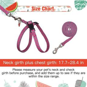 img 3 attached to 🍉 Durable PUPTECK Cat Harness and Leash Set with Watermelon Pendant - Escape Proof for Kitten & Puppy Walking