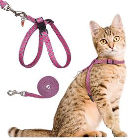 img 4 attached to 🍉 Durable PUPTECK Cat Harness and Leash Set with Watermelon Pendant - Escape Proof for Kitten & Puppy Walking