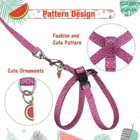 img 2 attached to 🍉 Durable PUPTECK Cat Harness and Leash Set with Watermelon Pendant - Escape Proof for Kitten & Puppy Walking