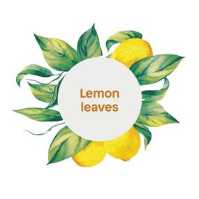 img 1 attached to 🍋 Hypoallergenic Hand Soap - ATTITUDE Super Leaves with Lemon Leaves Extract, 16 fl oz