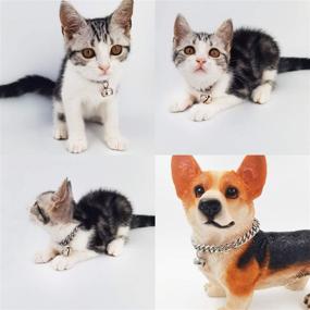 img 3 attached to 🐾 Стильный серебряный ошейник для кошек и собак: стальная цепочка с бубенчиком, невозможный для грызения щенками и котятами.