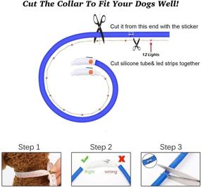 img 2 attached to 🐶 HIGO USB Rechargeable LED Dog Collar: Lightweight Silicone Safety Necklace for Small to Large Dogs