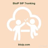 img 1 attached to BluIP SIP Trunking review by Adam Tidd