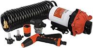 🚿 seaflo 70 psi washdown deck wash pump kit: powerful 12v 5.5 gpm for caravan, rv, boat, marine, and yacht логотип