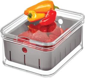 img 1 attached to 🥦 iDesign Crisp Clear/Gray BPA-Free Plastic Produce Storage Bin - 8.32"x6.32"x3.76" - Efficient Kitchen Organization Solution