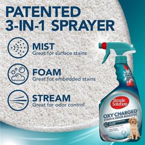 img 2 attached to 🐾 Advanced Pet Stain and Odor Remover: The Ultimate Solution