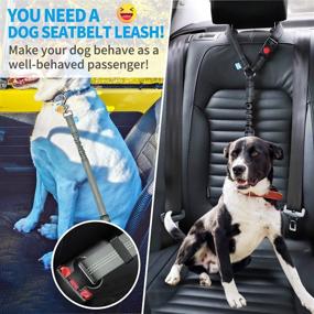 img 2 attached to 🐾 Ensure Pet Safety: BAAPET Dog Seatbelt Leash for Cars, 2-Packs with Shock Absorbing Bungee and Reflective Threads