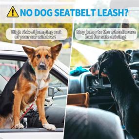 img 3 attached to 🐾 Ensure Pet Safety: BAAPET Dog Seatbelt Leash for Cars, 2-Packs with Shock Absorbing Bungee and Reflective Threads